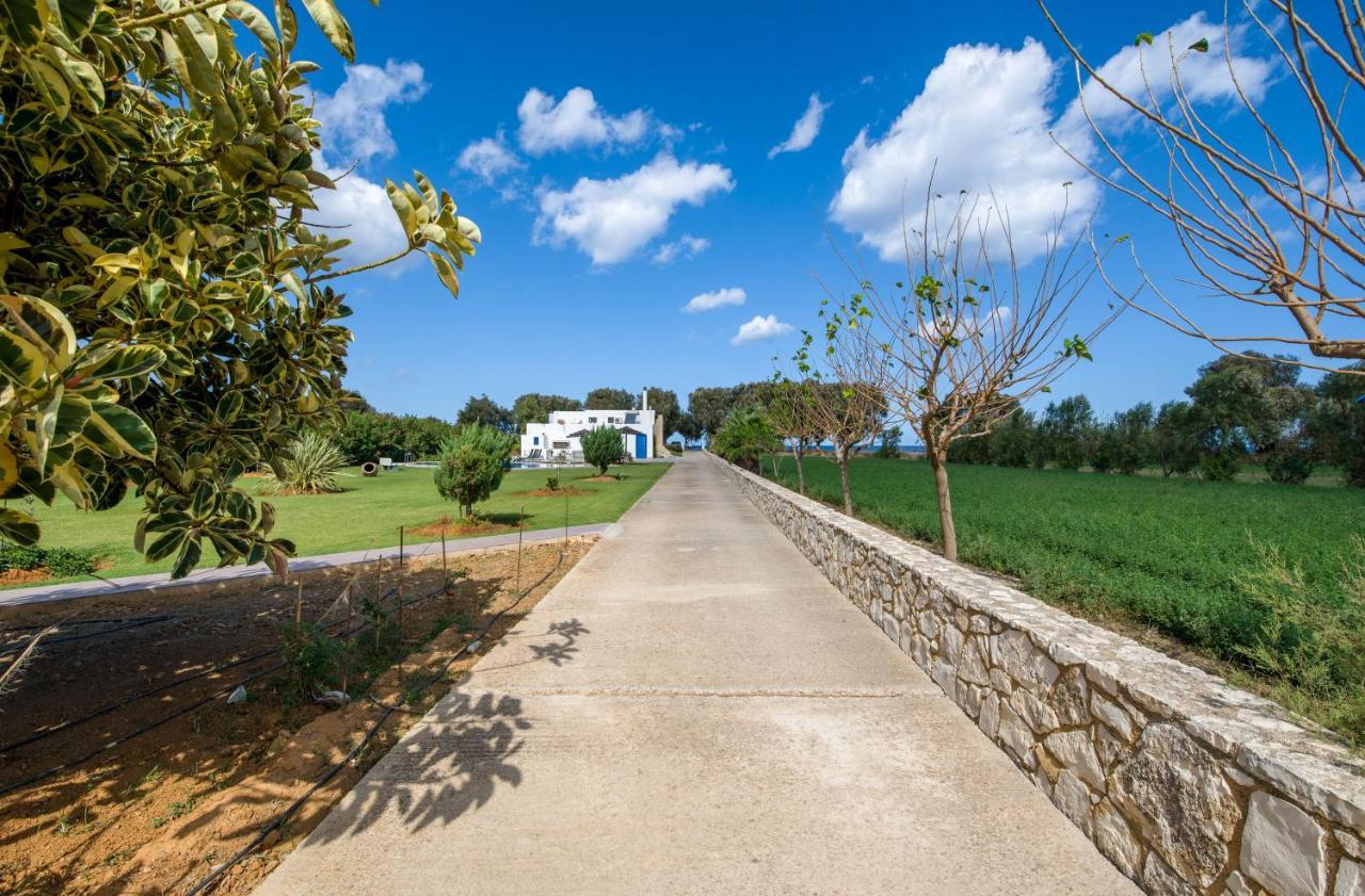 Villa Oasea Tavronitis Esterno foto