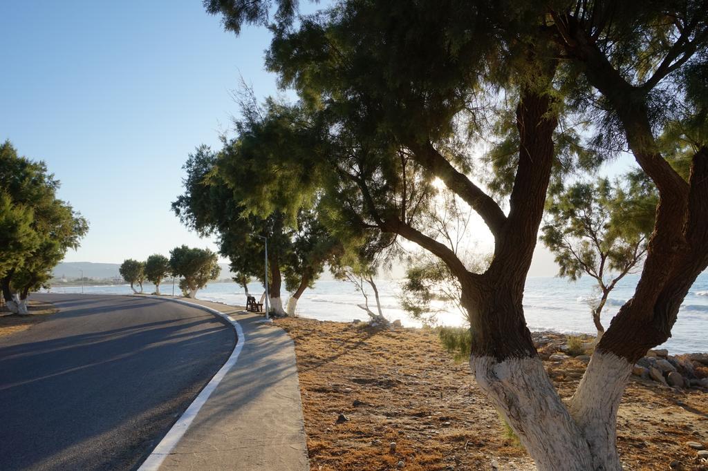 Villa Oasea Tavronitis Esterno foto